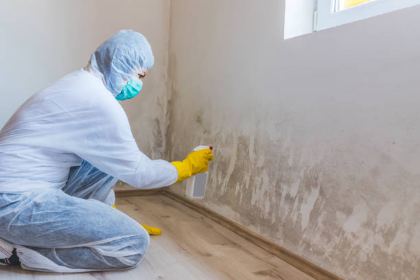 Mold inspector in Darien performing thermal imaging